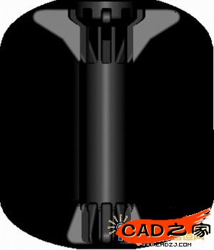 利用自動建模程序建立的藥柱模型