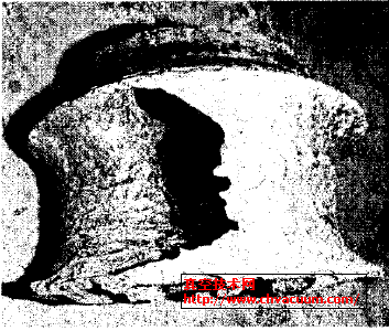 圖1葉輪磨蝕破壞實況圖